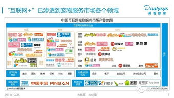 中國互聯(lián)網寵物服務市場專題研究報告（2015簡版） 互聯(lián)網信息服務的融合與創(chuàng)新